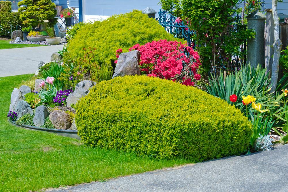 Landscaping York Region