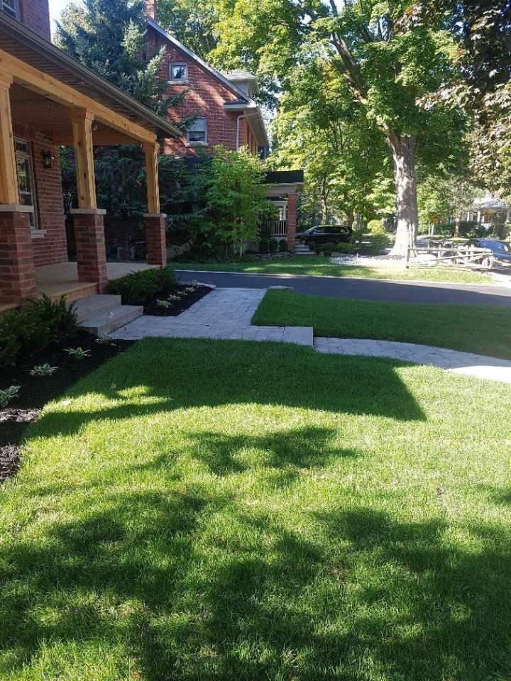 Commercial landscaping Sharon